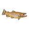 Brown Trout Fish, Realistic Animals, Embroidered, Iron on Patch